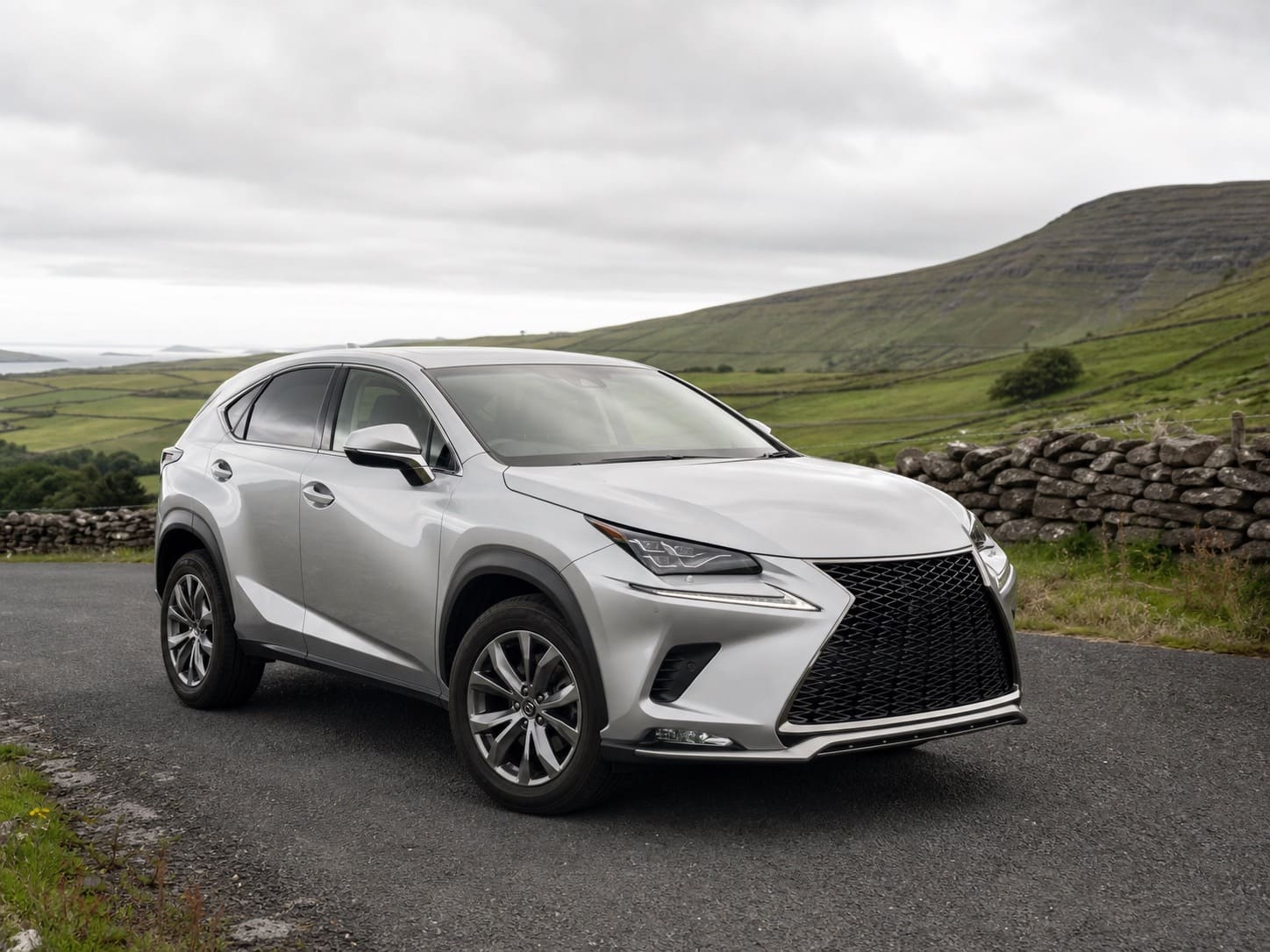 Illustration of a used Lexus NX in the Irish countryside